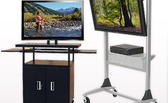 Flat Screen & Plasma Carts