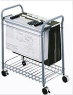 Blue Print Storage