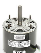 4 Diameter Motors