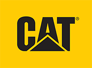 CAT Retail Flag