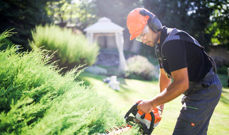 GET DOWN AND DIRTY—A LANDSCAPING BUYER’S GUIDE