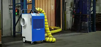 CVC