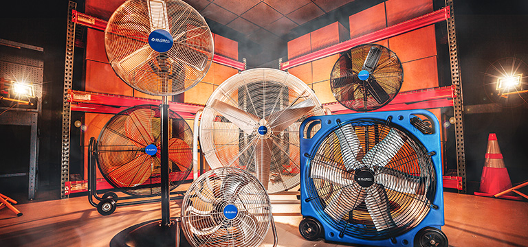Fans