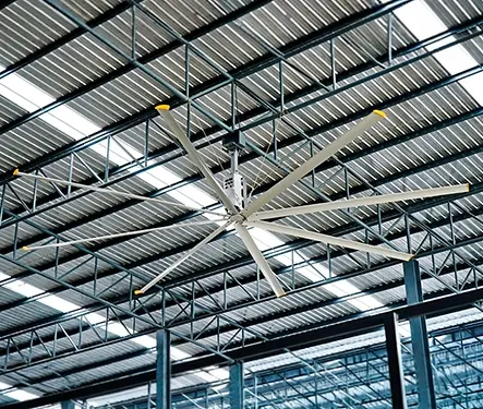 [Céíl~íñg F~áñs]