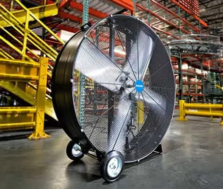 [Drúm~ & Flóó~r Fáñ~s]