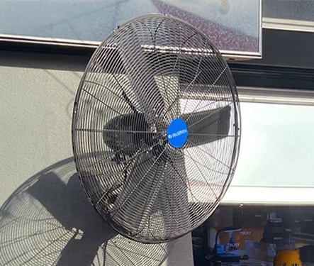Wall Fans