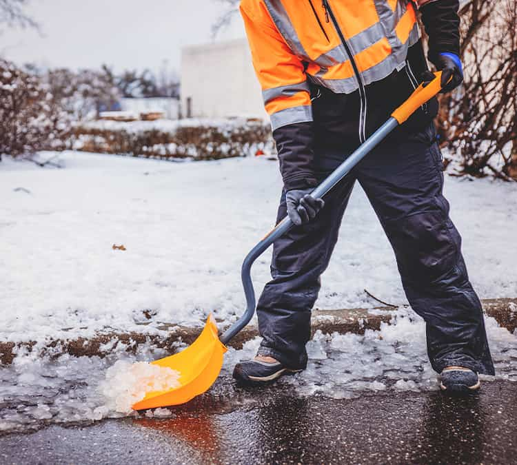 SHOVELS À NEIGE